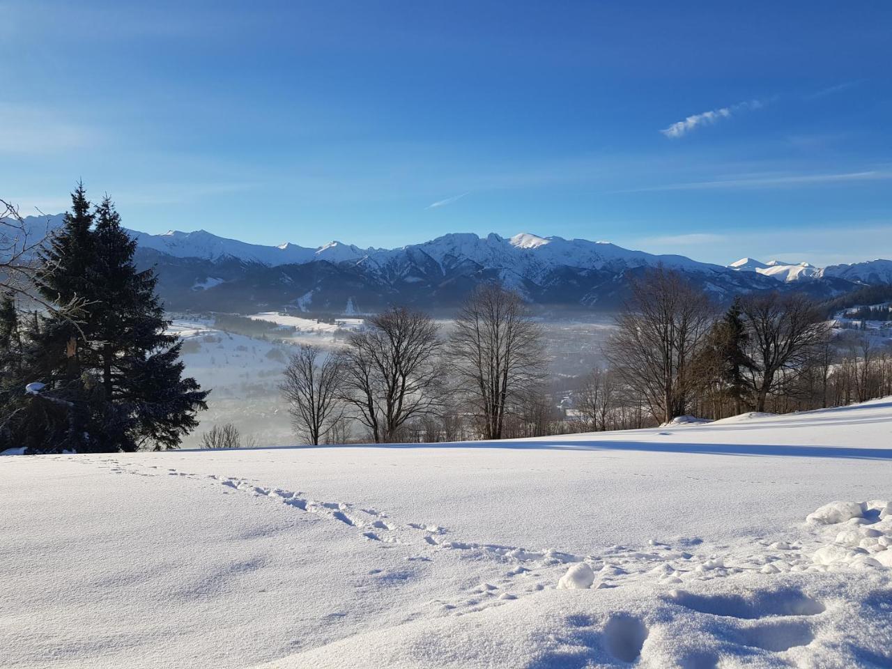 Willa Chycowka - Zakopane — Zdjęcia 1